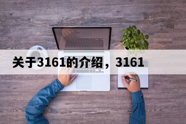 關(guān)于3161的介紹，3161