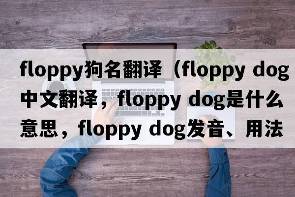 floppy狗名翻譯（floppy dog中文翻譯，floppy dog是什么意思，floppy dog發(fā)音、用法及例句）