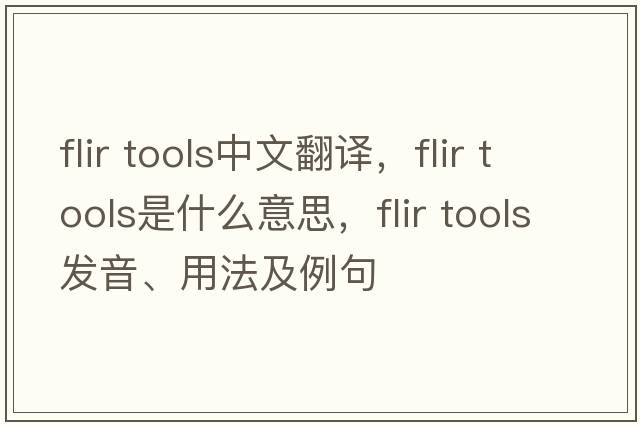flir tools中文翻譯，flir tools是什么意思，flir tools發(fā)音、用法及例句