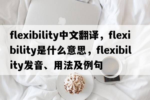 flexibility中文翻譯，flexibility是什么意思，flexibility發(fā)音、用法及例句