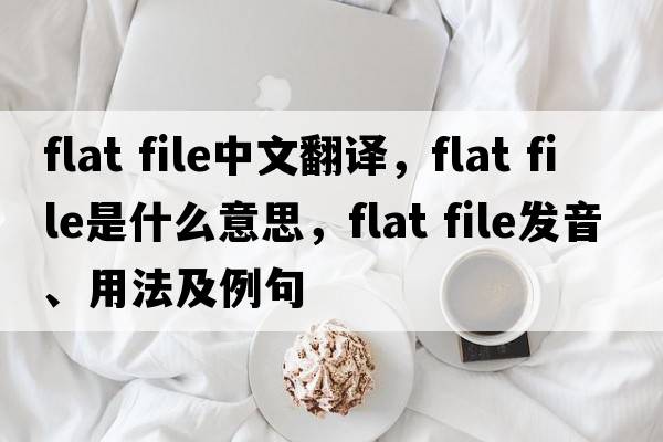 flat file中文翻譯，flat file是什么意思，flat file發(fā)音、用法及例句