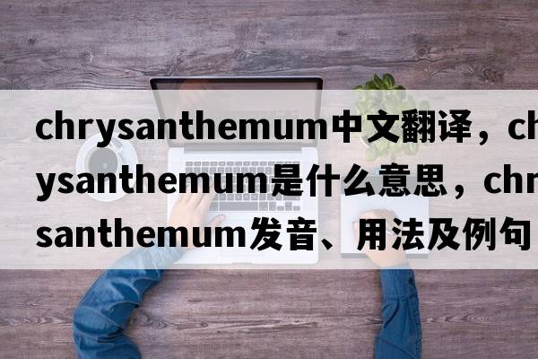 chrysanthemum中文翻譯，chrysanthemum是什么意思，chrysanthemum發(fā)音、用法及例句
