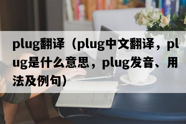 plug翻譯（plug中文翻譯，plug是什么意思，plug發(fā)音、用法及例句）