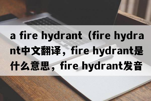 a fire hydrant（fire hydrant中文翻譯，fire hydrant是什么意思，fire hydrant發(fā)音、用法及例句）