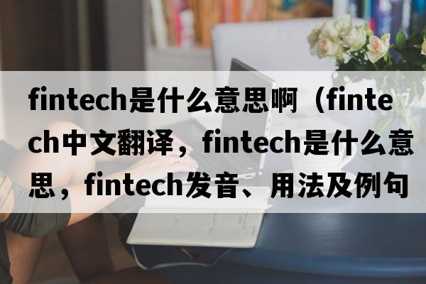 fintech是什么意思?。╢intech中文翻譯，fintech是什么意思，fintech發(fā)音、用法及例句）