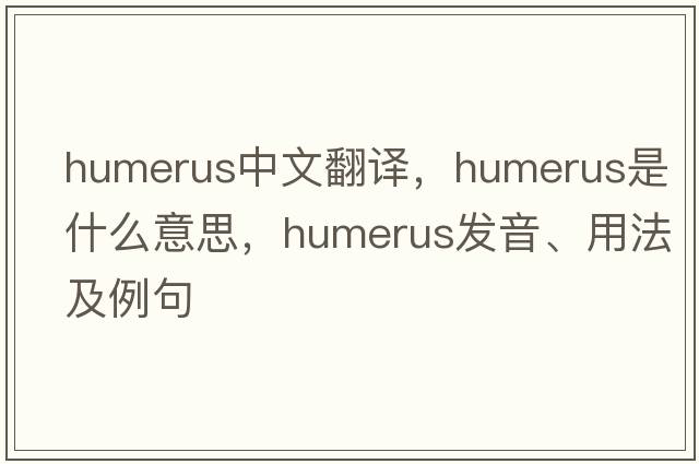 humerus中文翻譯，humerus是什么意思，humerus發(fā)音、用法及例句