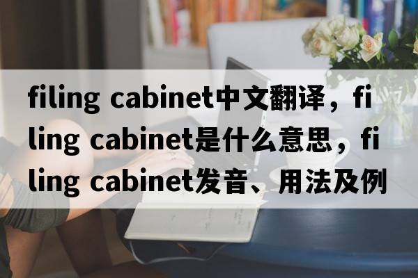 filing cabinet中文翻譯，filing cabinet是什么意思，filing cabinet發(fā)音、用法及例句