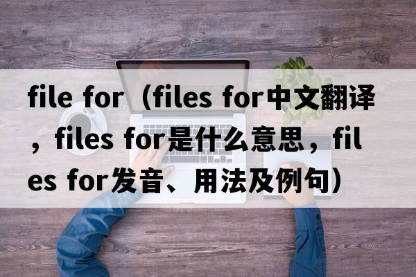 file for（files for中文翻譯，files for是什么意思，files for發(fā)音、用法及例句）