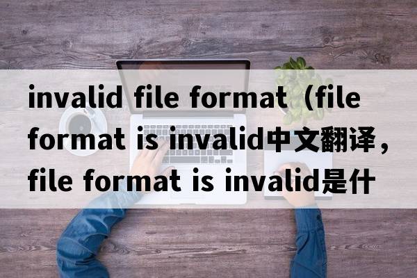 invalid file format（file format is invalid中文翻譯，file format is invalid是什么意思，file format is invalid發(fā)音、