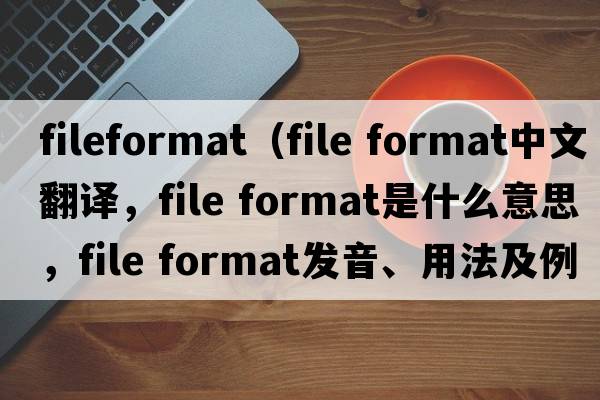 fileformat（file format中文翻譯，file format是什么意思，file format發(fā)音、用法及例句）