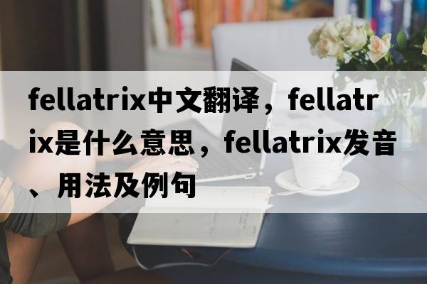 fellatrix中文翻譯，fellatrix是什么意思，fellatrix發(fā)音、用法及例句