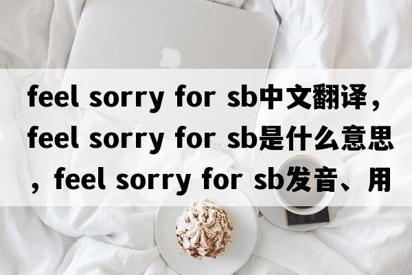 feel sorry for sb中文翻譯，feel sorry for sb是什么意思，feel sorry for sb發(fā)音、用法及例句
