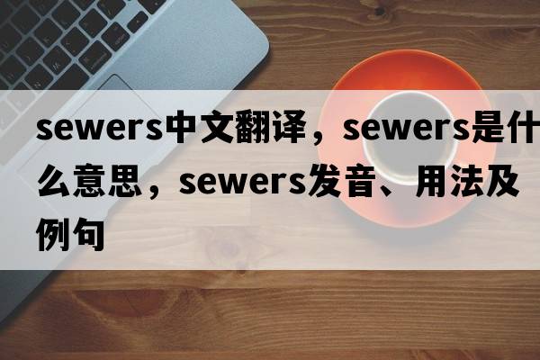 sewers中文翻譯，sewers是什么意思，sewers發(fā)音、用法及例句