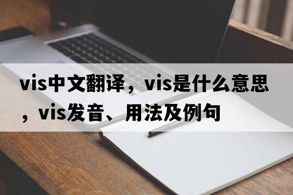 vis中文翻譯，vis是什么意思，vis發(fā)音、用法及例句