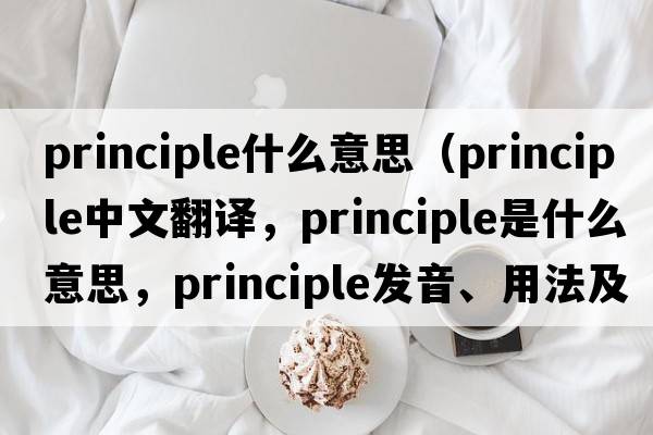 principle什么意思（principle中文翻譯，principle是什么意思，principle發(fā)音、用法及例句）