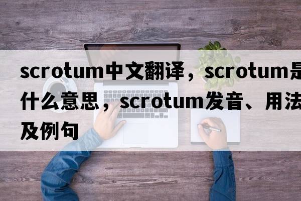 scrotum中文翻譯，scrotum是什么意思，scrotum發(fā)音、用法及例句