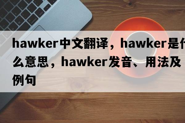 hawker中文翻譯，hawker是什么意思，hawker發(fā)音、用法及例句