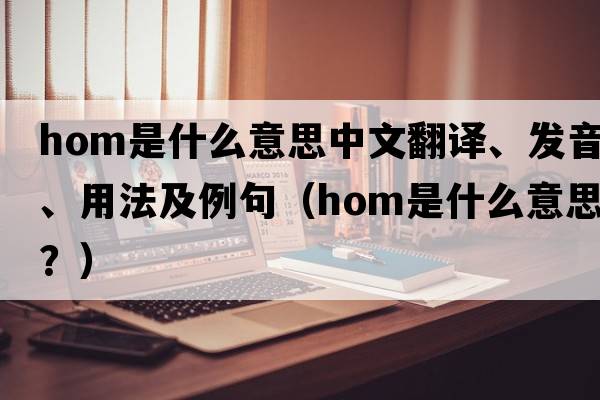 hom是什么意思中文翻譯、發(fā)音、用法及例句（Hom是什么意思？）
