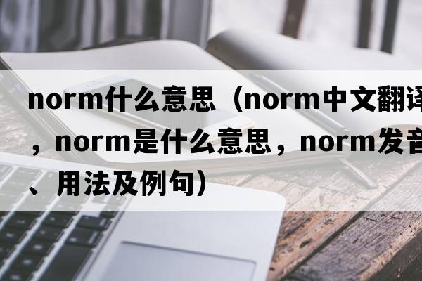 norm什么意思（norm中文翻譯，norm是什么意思，norm發(fā)音、用法及例句）