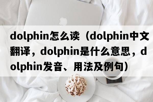 dolphin怎么讀（dolphin中文翻譯，dolphin是什么意思，dolphin發(fā)音、用法及例句）