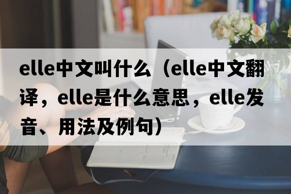 elle中文叫什么（elle中文翻譯，elle是什么意思，elle發(fā)音、用法及例句）