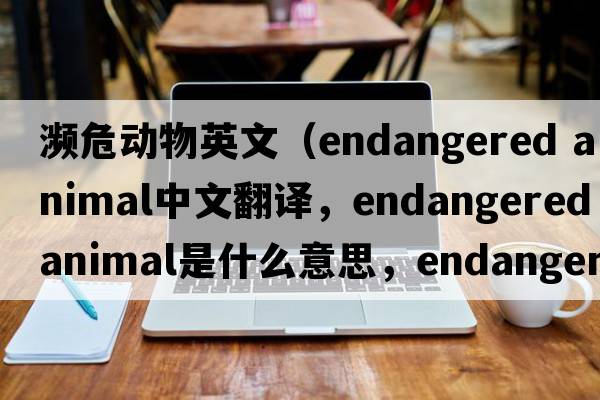 瀕危動(dòng)物英文（endangered animal中文翻譯，endangered animal是什么意思，endangered animal發(fā)音、用法及例句）