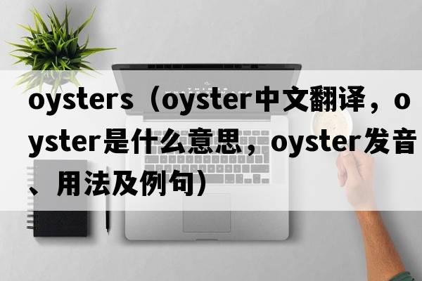 oysters（oyster中文翻譯，oyster是什么意思，oyster發(fā)音、用法及例句）