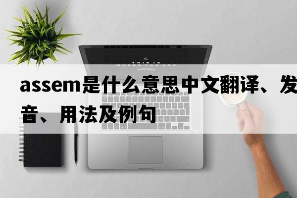 assem是什么意思中文翻譯、發(fā)音、用法及例句