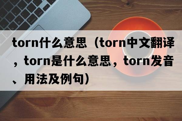 torn什么意思（torn中文翻譯，torn是什么意思，torn發(fā)音、用法及例句）