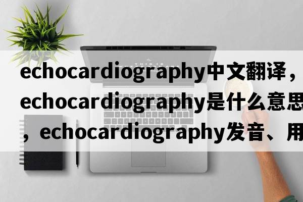 echocardiography中文翻譯，echocardiography是什么意思，echocardiography發(fā)音、用法及例句