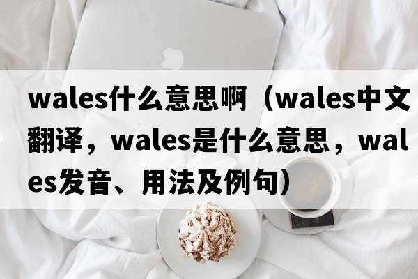 wales什么意思?。╳ales中文翻譯，wales是什么意思，wales發(fā)音、用法及例句）