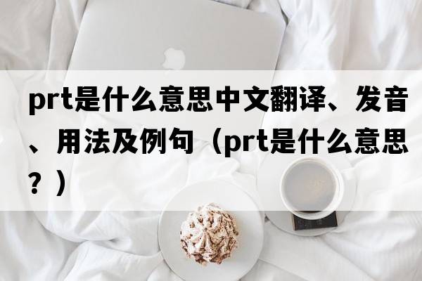 prt是什么意思中文翻譯、發(fā)音、用法及例句（prt是什么意思？）