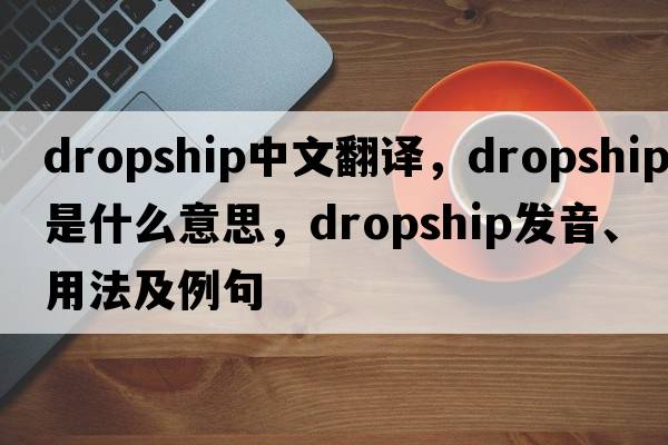 dropship中文翻譯，dropship是什么意思，dropship發(fā)音、用法及例句