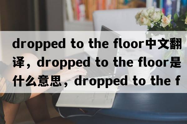 dropped to the floor中文翻譯，dropped to the floor是什么意思，dropped to the floor發(fā)音、用法及例句