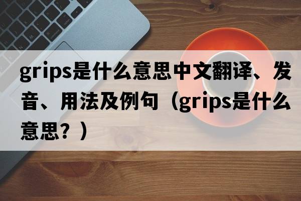 grips是什么意思中文翻譯、發(fā)音、用法及例句（grips是什么意思？）