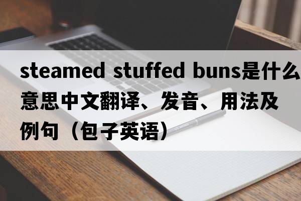 steamed stuffed buns是什么意思中文翻譯、發(fā)音、用法及例句（包子英語(yǔ)）