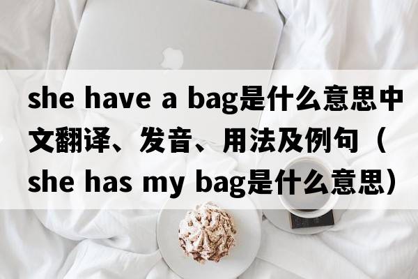 she have a bag是什么意思中文翻譯、發(fā)音、用法及例句（she has my bag是什么意思）