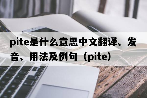 PITE是什么意思中文翻譯、發(fā)音、用法及例句（pite）