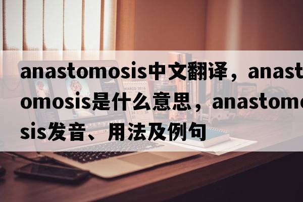 anastomosis中文翻譯，anastomosis是什么意思，anastomosis發(fā)音、用法及例句