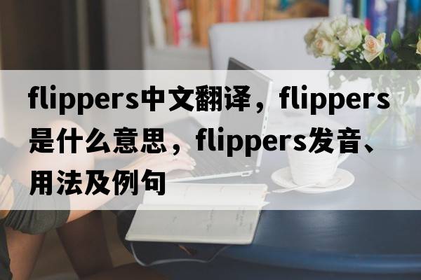 flippers中文翻譯，flippers是什么意思，flippers發(fā)音、用法及例句