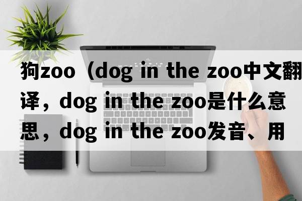 狗zoo（dog in the zoo中文翻譯，dog in the zoo是什么意思，dog in the zoo發(fā)音、用法及例句）