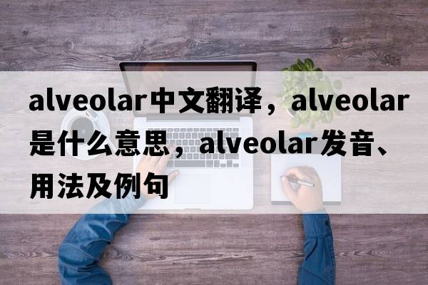alveolar中文翻譯，alveolar是什么意思，alveolar發(fā)音、用法及例句