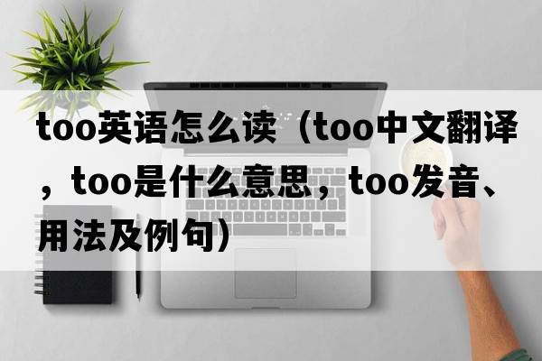 too英語(yǔ)怎么讀（too中文翻譯，too是什么意思，too發(fā)音、用法及例句）