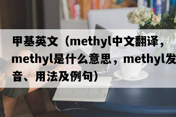 甲基英文（methyl中文翻譯，methyl是什么意思，methyl發(fā)音、用法及例句）