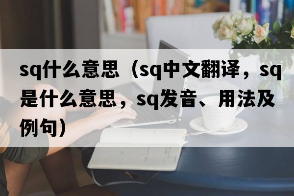 sq什么意思（sq中文翻譯，sq是什么意思，sq發(fā)音、用法及例句）