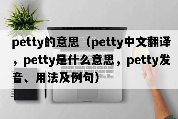 petty的意思（petty中文翻譯，petty是什么意思，petty發(fā)音、用法及例句）