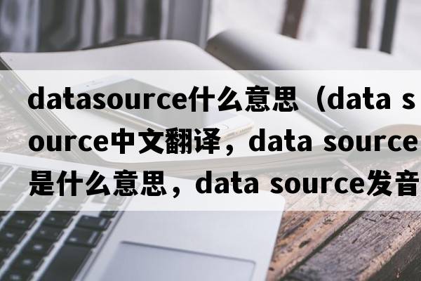 datasource什么意思（data source中文翻譯，data source是什么意思，data source發(fā)音、用法及例句）