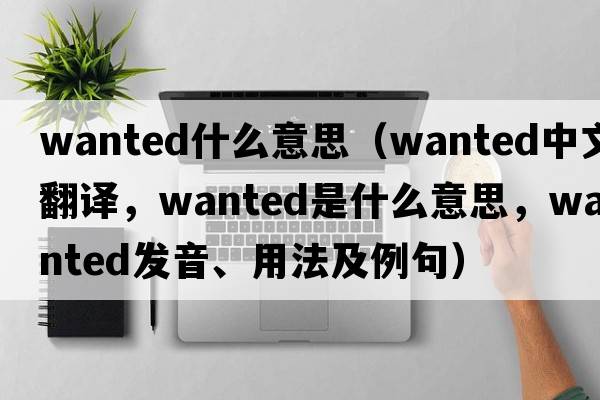 wanted什么意思（wanted中文翻譯，wanted是什么意思，wanted發(fā)音、用法及例句）