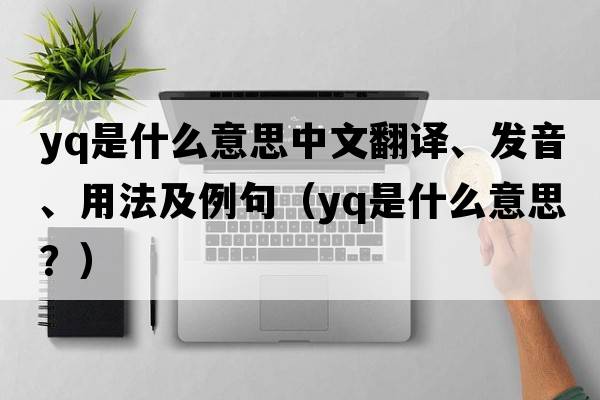 Yq是什么意思中文翻譯、發(fā)音、用法及例句（yq是什么意思？）