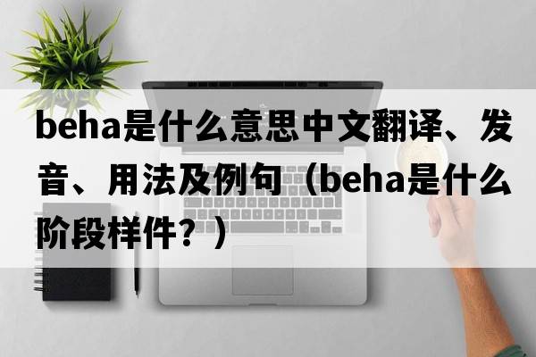 BEHA是什么意思中文翻譯、發(fā)音、用法及例句（beha是什么階段樣件？）